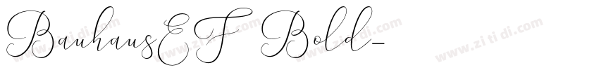 BauhausEF Bold字体转换